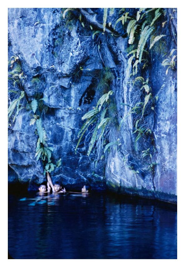 Toni Frissell 'Hawaiian Scenes' Unframed Archival Pigment Print photo furniture