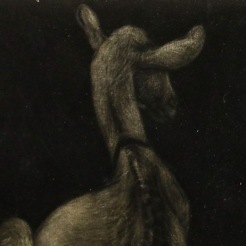 Framed Contemporary Aquatint Mother Goat photo Art