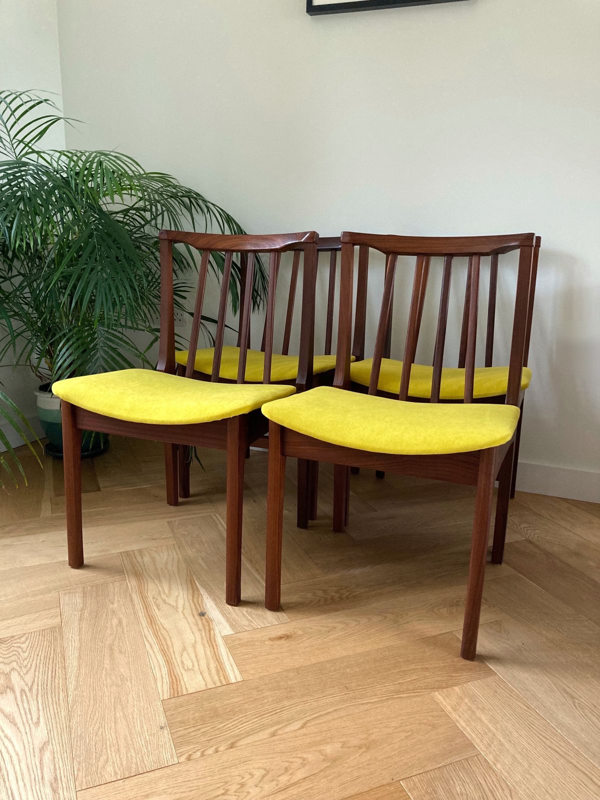 Vintage Mid Century Wooden Chairs X4 Yellow Velvet Seats photo for sale