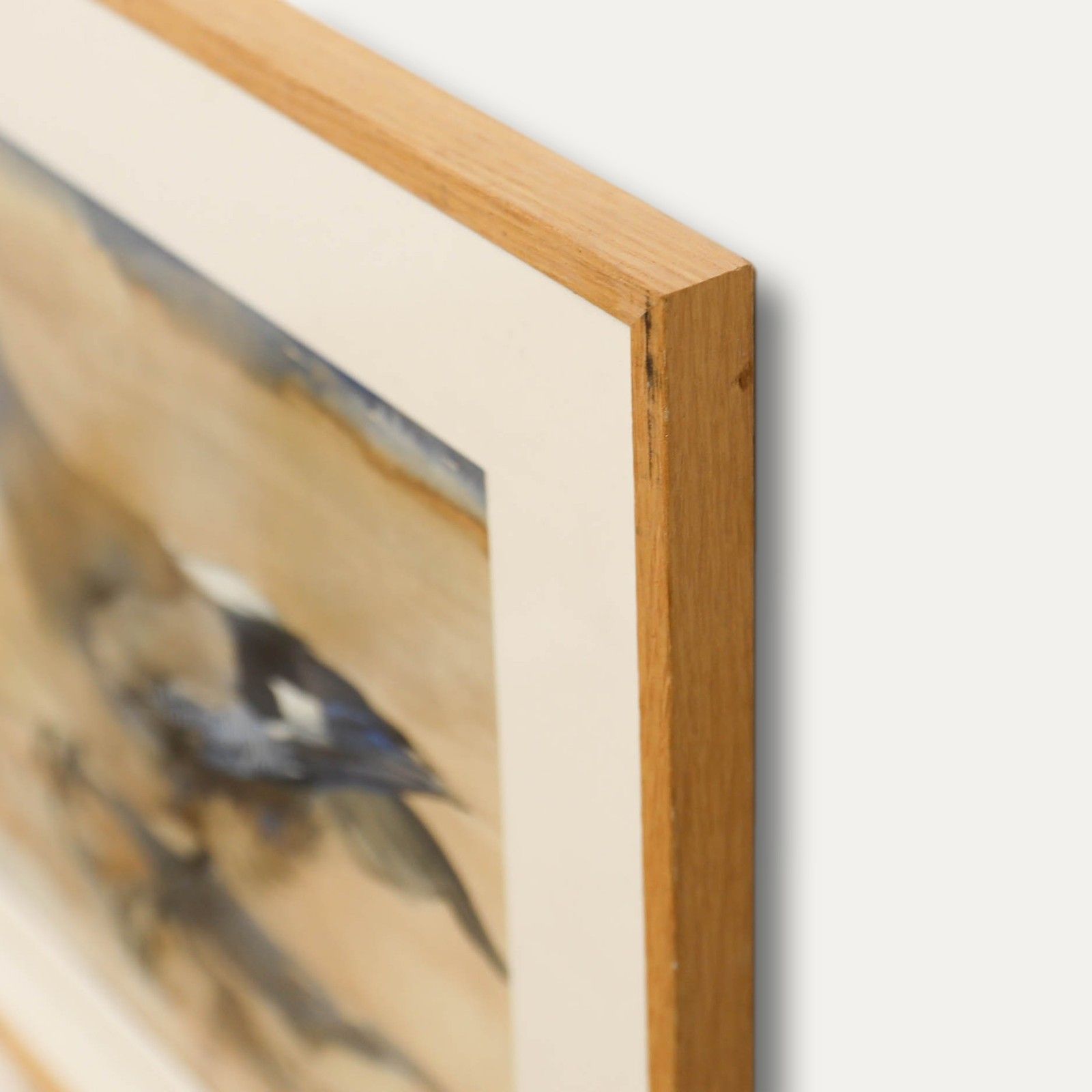 Adrianus Johannes Van 'T Hoff (1893 1939) Framed 1929 Watercolour, Two Jays photo 297.0