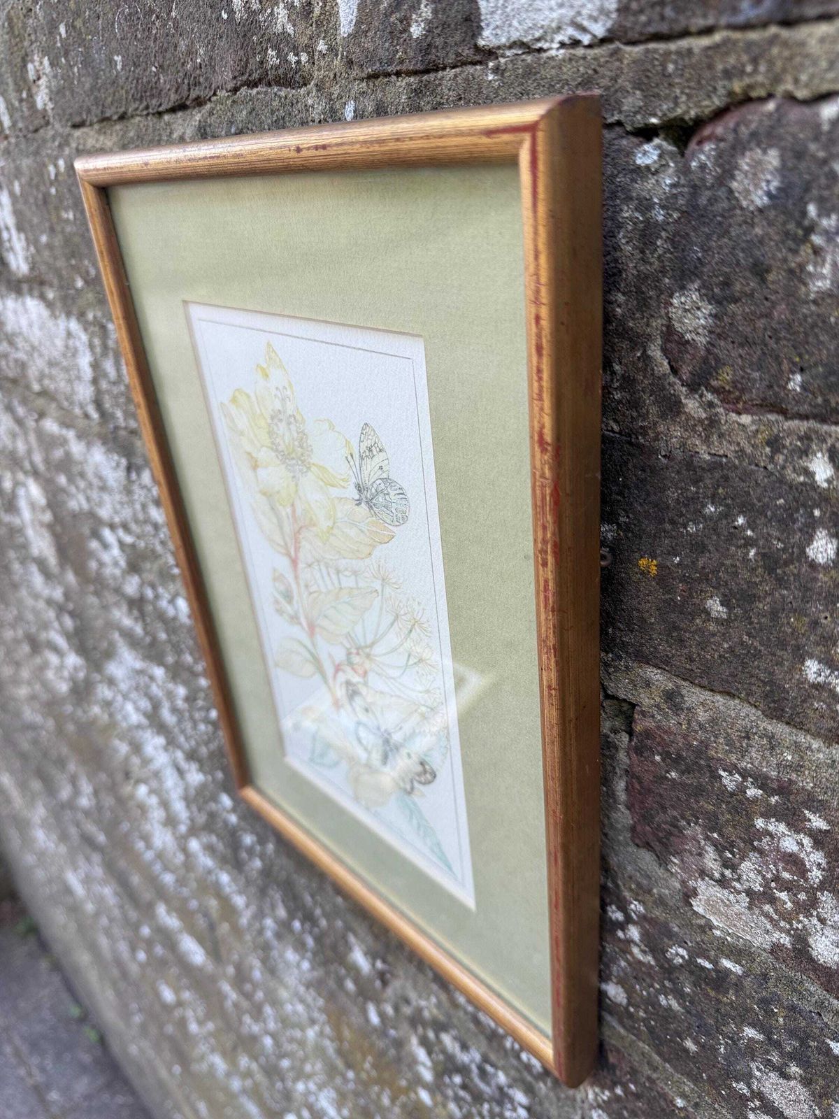 Vintage Botanical Watercolour, Rose Of Sharon, By Selina Martin – Framed Floral And Butterfly Illustration, Nature Inspired Wall Art photo 58.0