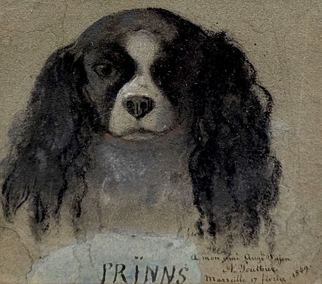 Portrait Of A Dog “Prinns”, Signed A. Touttier, Marseille 1849 photo furniture