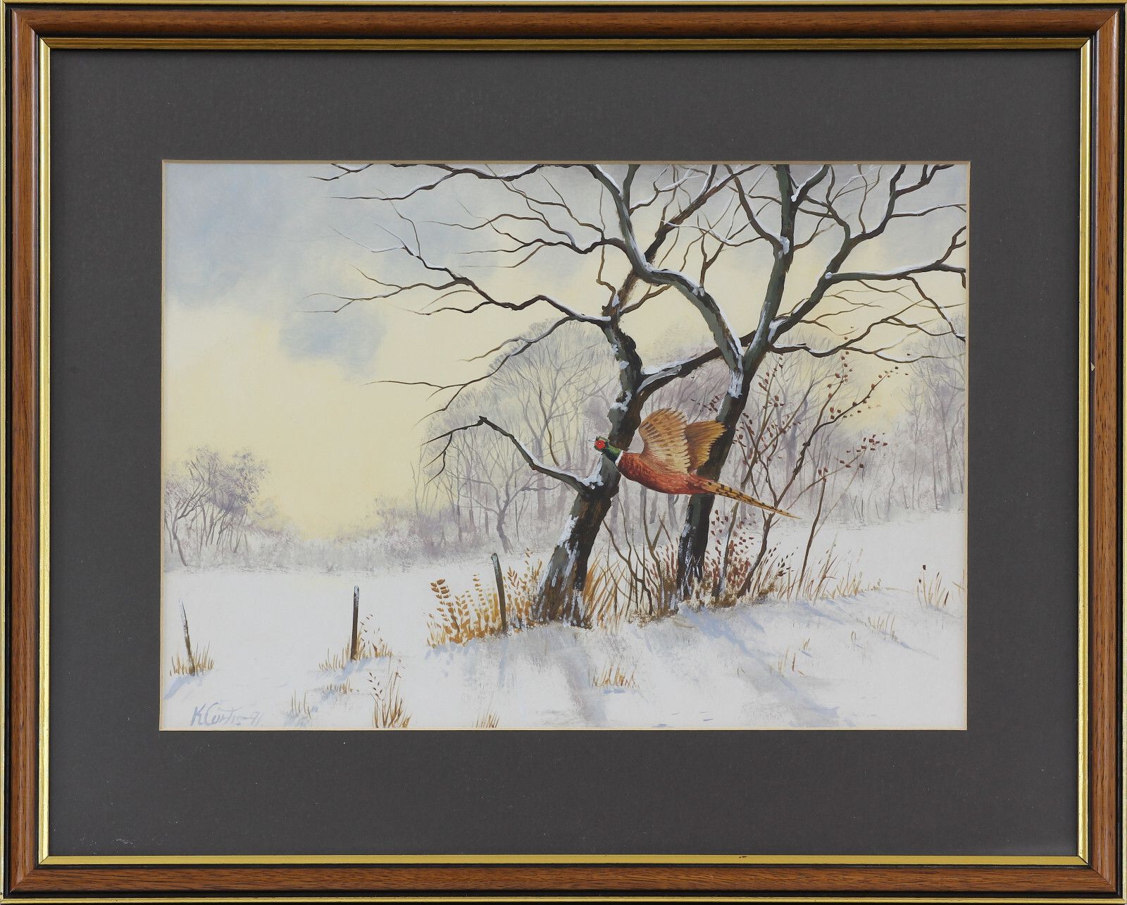Acrylic Behind Glass By Kevin Curtis. Cock Pheasant In Flight photo Art