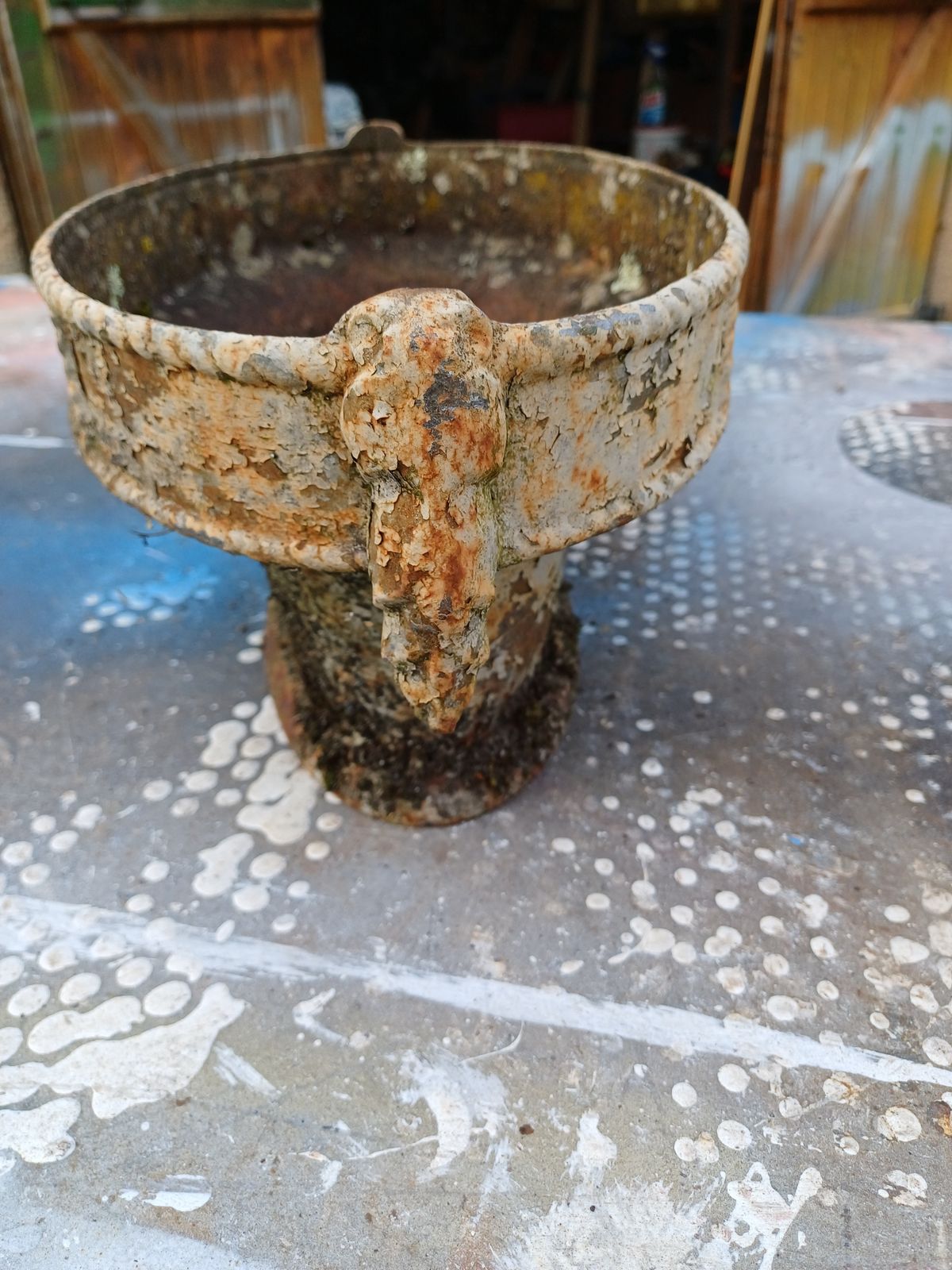 photo vinterior 3 Cast Iron Planters 1900: Charleville   Mézières