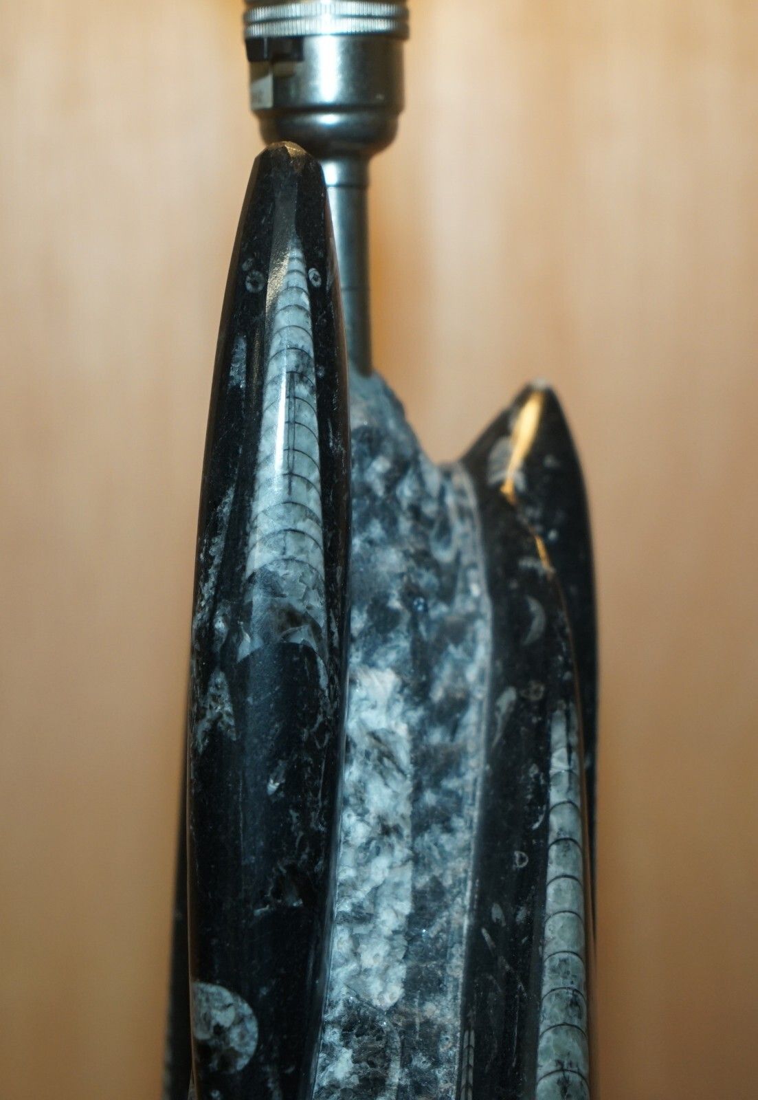 Rare & Large 395 Million Year Old Fossilized Orthoceras Marble Finish Table Lamp photo buy