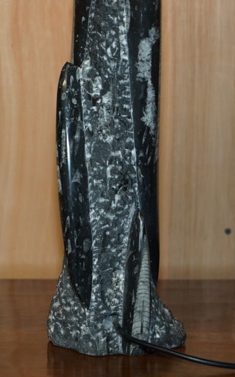 photo vintage Rare & Large 395 Million Year Old Fossilized Orthoceras Marble Finish Table Lamp