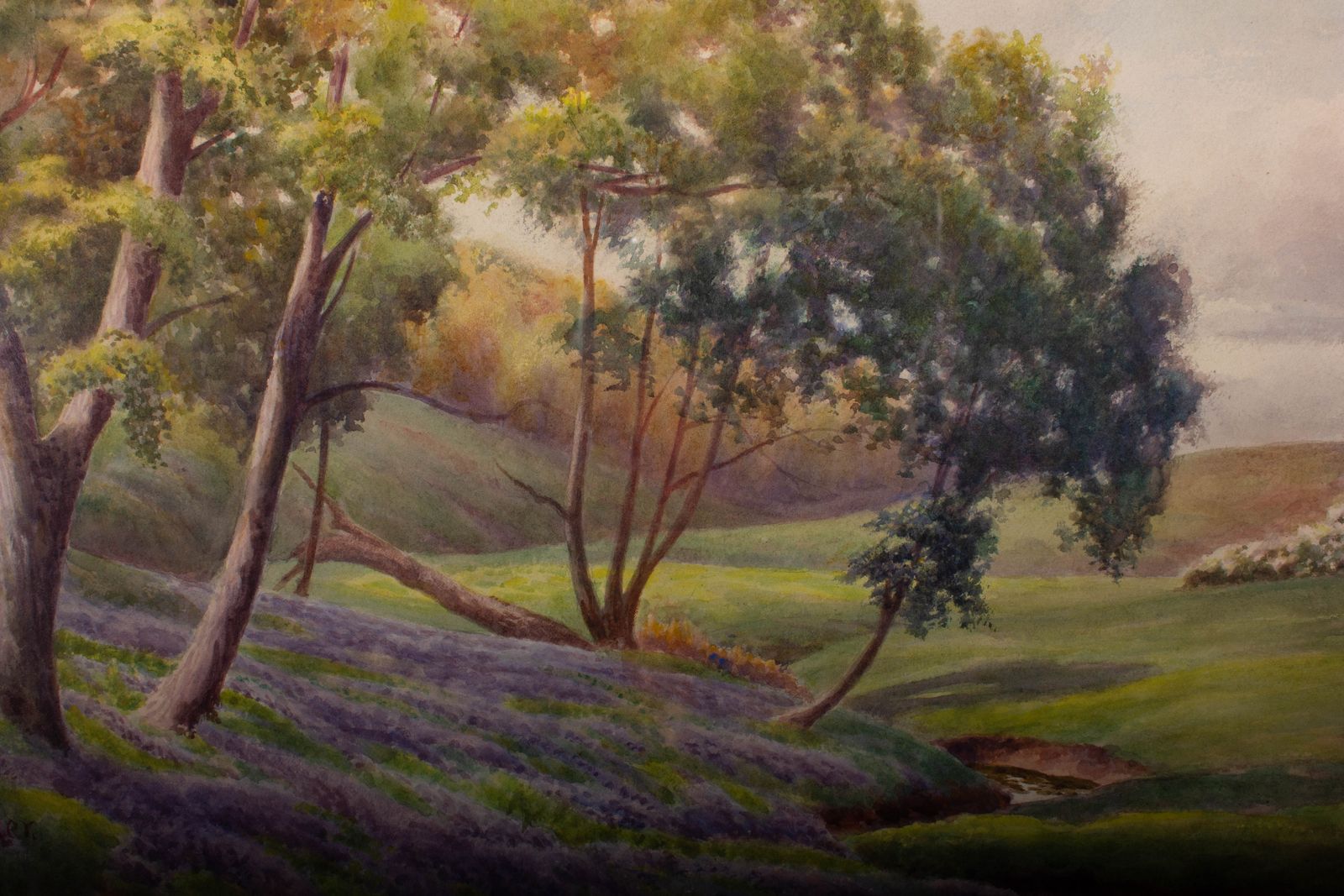 J. L. Barker   Early 20th Century Watercolour, Shoreton Woods photo Art