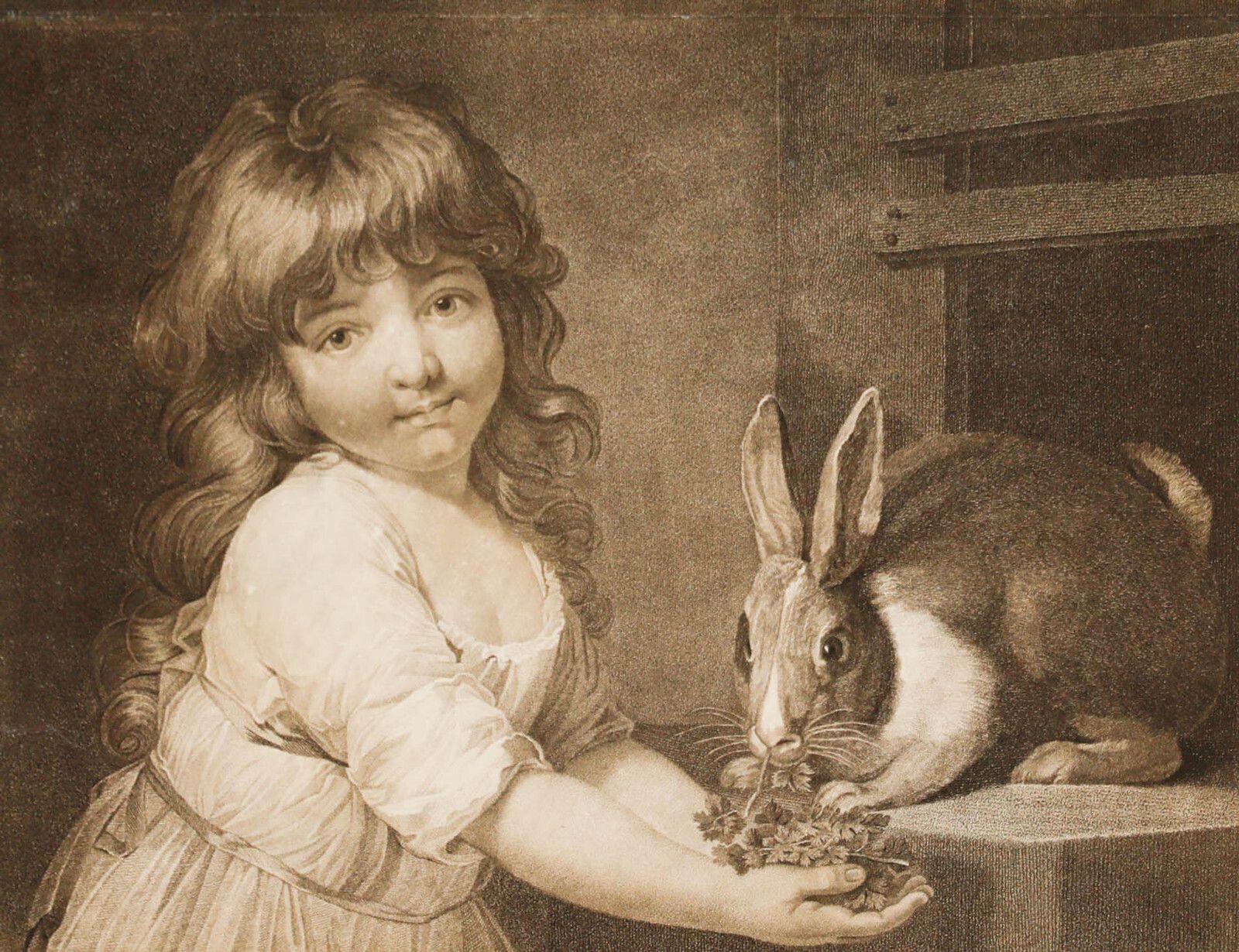 Charles Knight After John Russell Ra (1745 1806)   Engraving, The Rabbit photo furniture