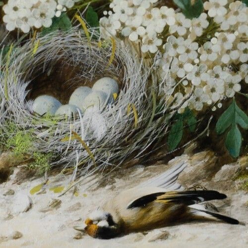 William Cruikshank (1848 1922)   Framed Watercolour, Goldfinch Nest photo Art