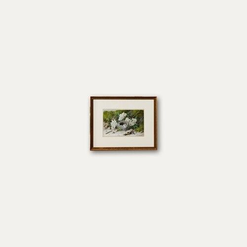 William Cruikshank (1848 1922)   Framed Watercolour, Goldfinch Nest photo buy