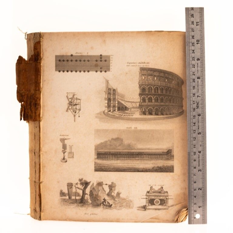 Antique Mid 19th Century Book Of Lithographs Including Ornithology photo Home Decor