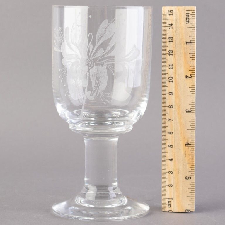 Dartington Crystal Glass Etched Goblet photo Home Decor