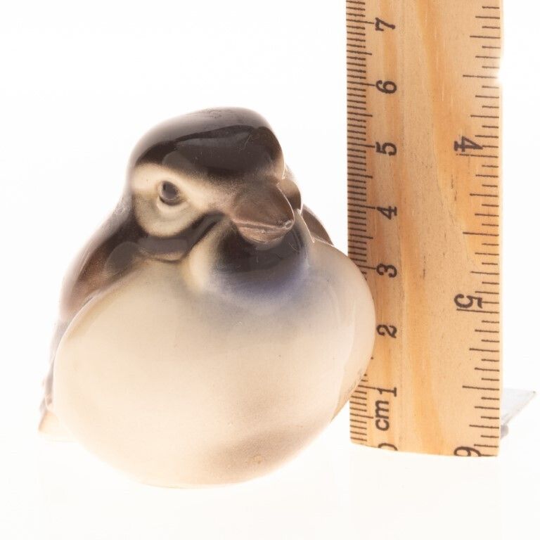 Royal Belvedere Austrian Porcelain Bird Figure photo Art