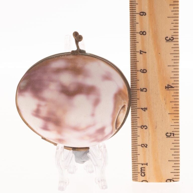 Antique Victorian Cowrie Shell Snuff Trinket Box 19th Century photo Home Decor