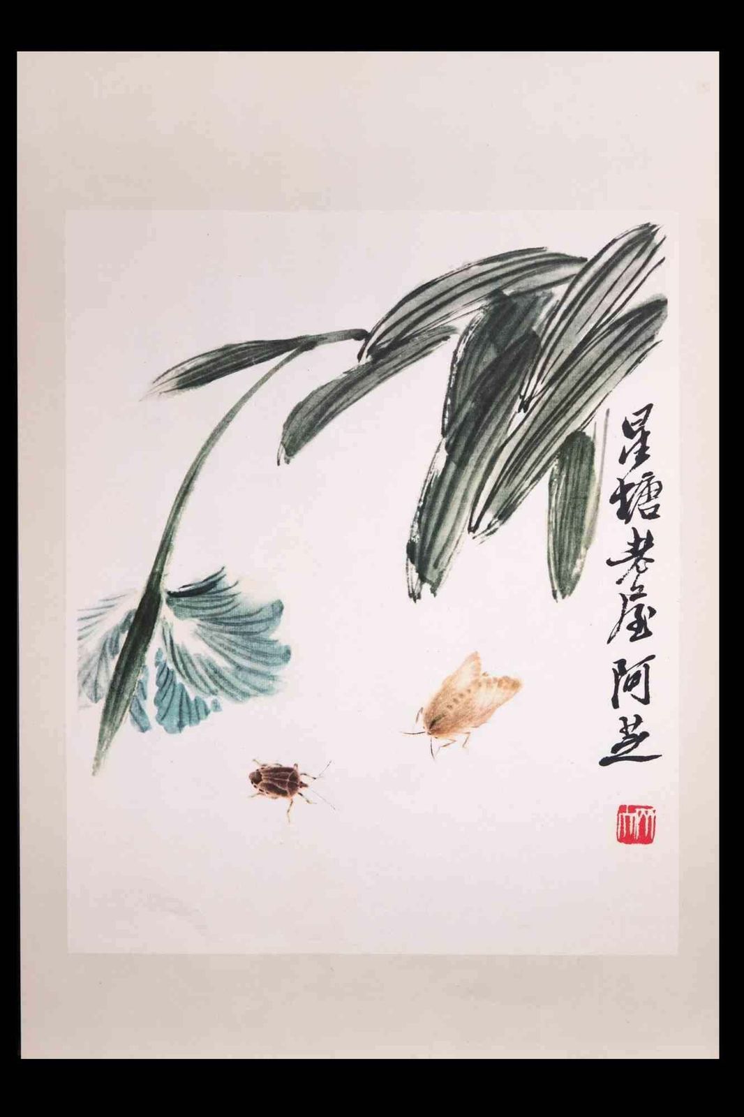 Unknownflowers And Bugs   Print   Early 20th Centurylate 20th Century