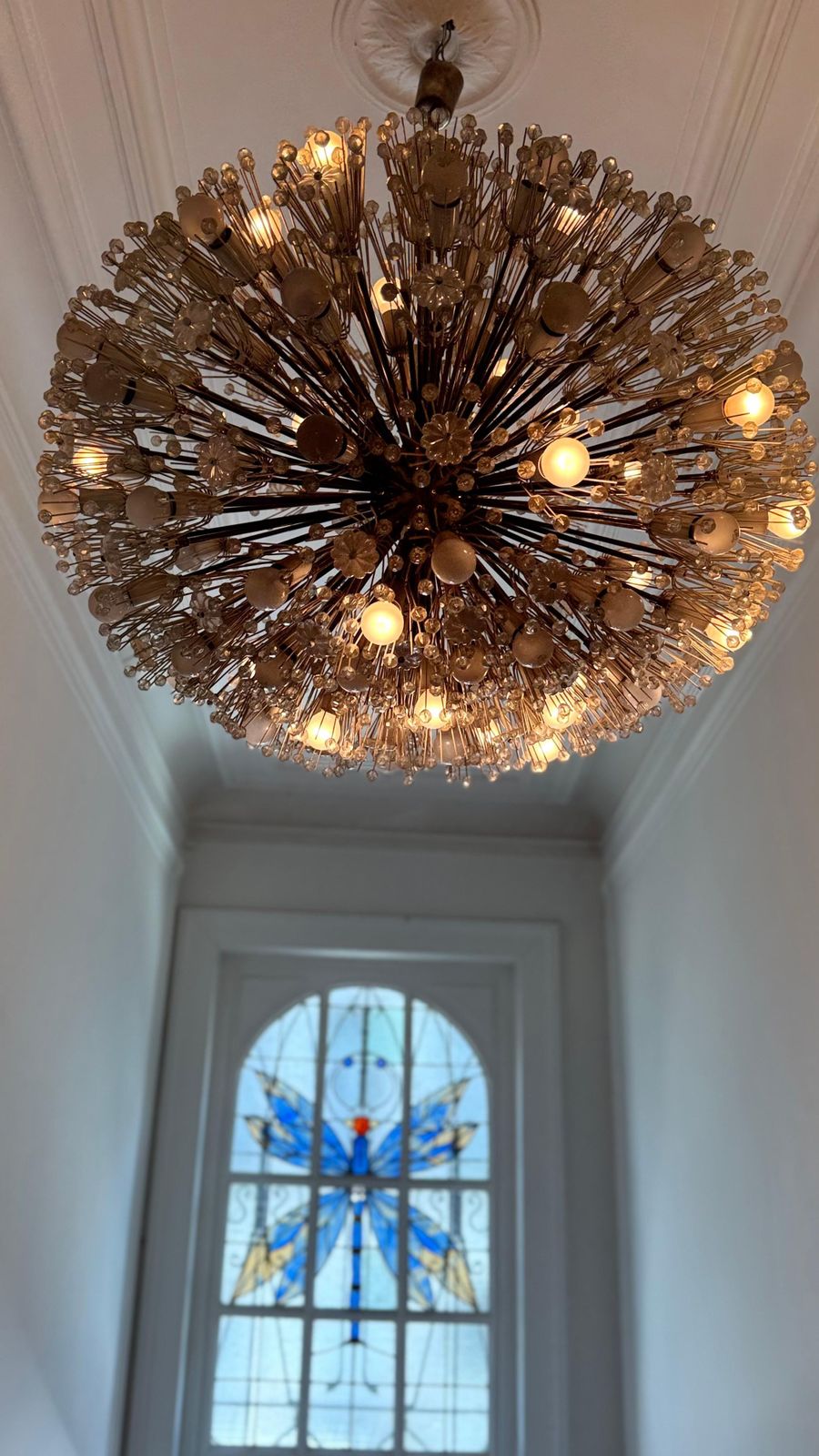 Large Oval Stejnar Flower Glass & Brass Chandelier, Austria, 1950s photo 17018.0