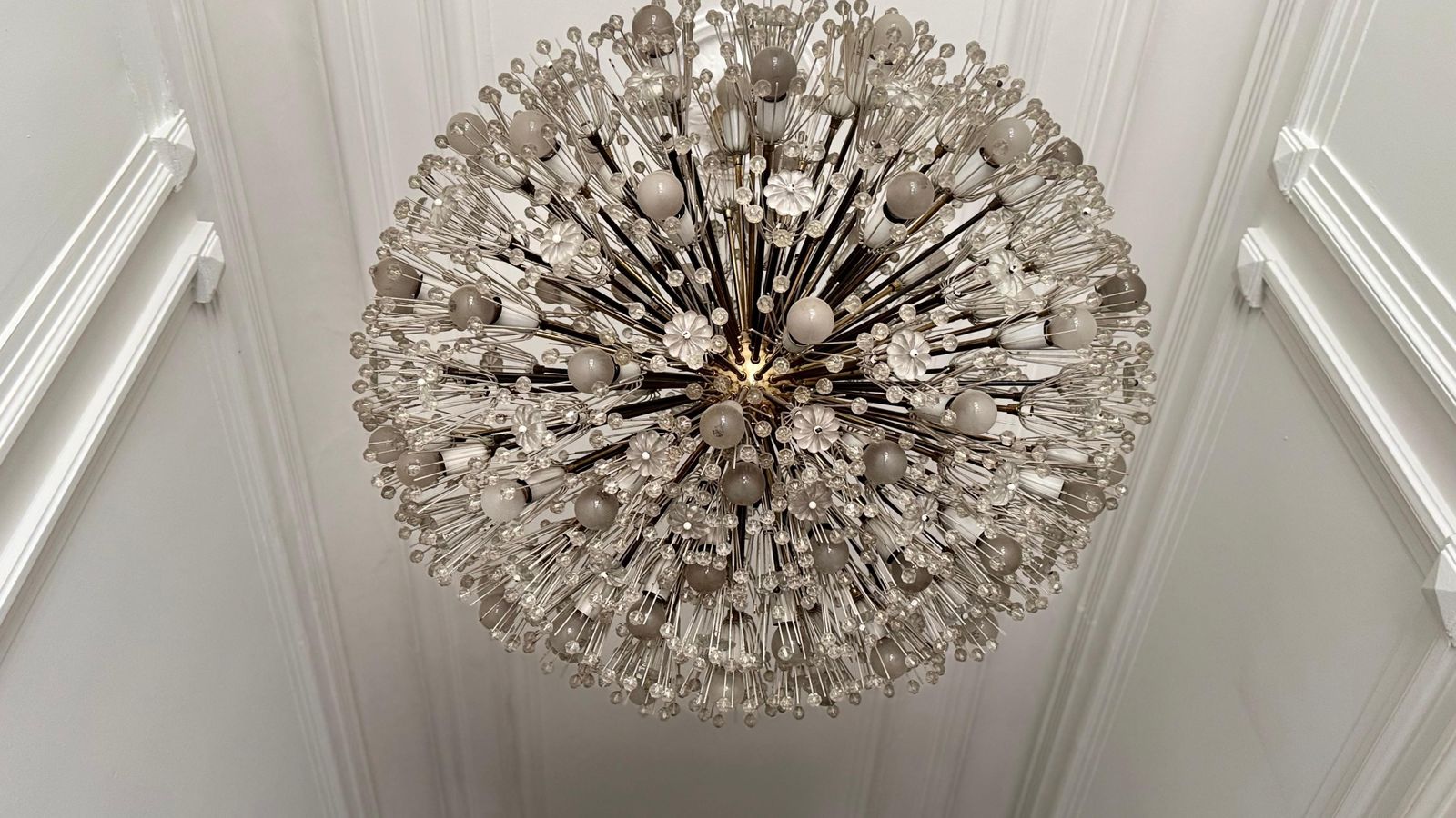 photo for sale Large Oval Stejnar Flower Glass & Brass Chandelier, Austria, 1950s