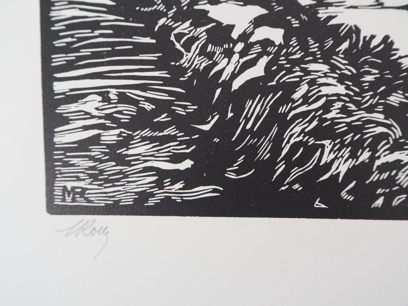 Maurice Rolletpeaceful Cruise On The Canal   Original Wooodcut, Handsigned & Numbered1927 photo Art