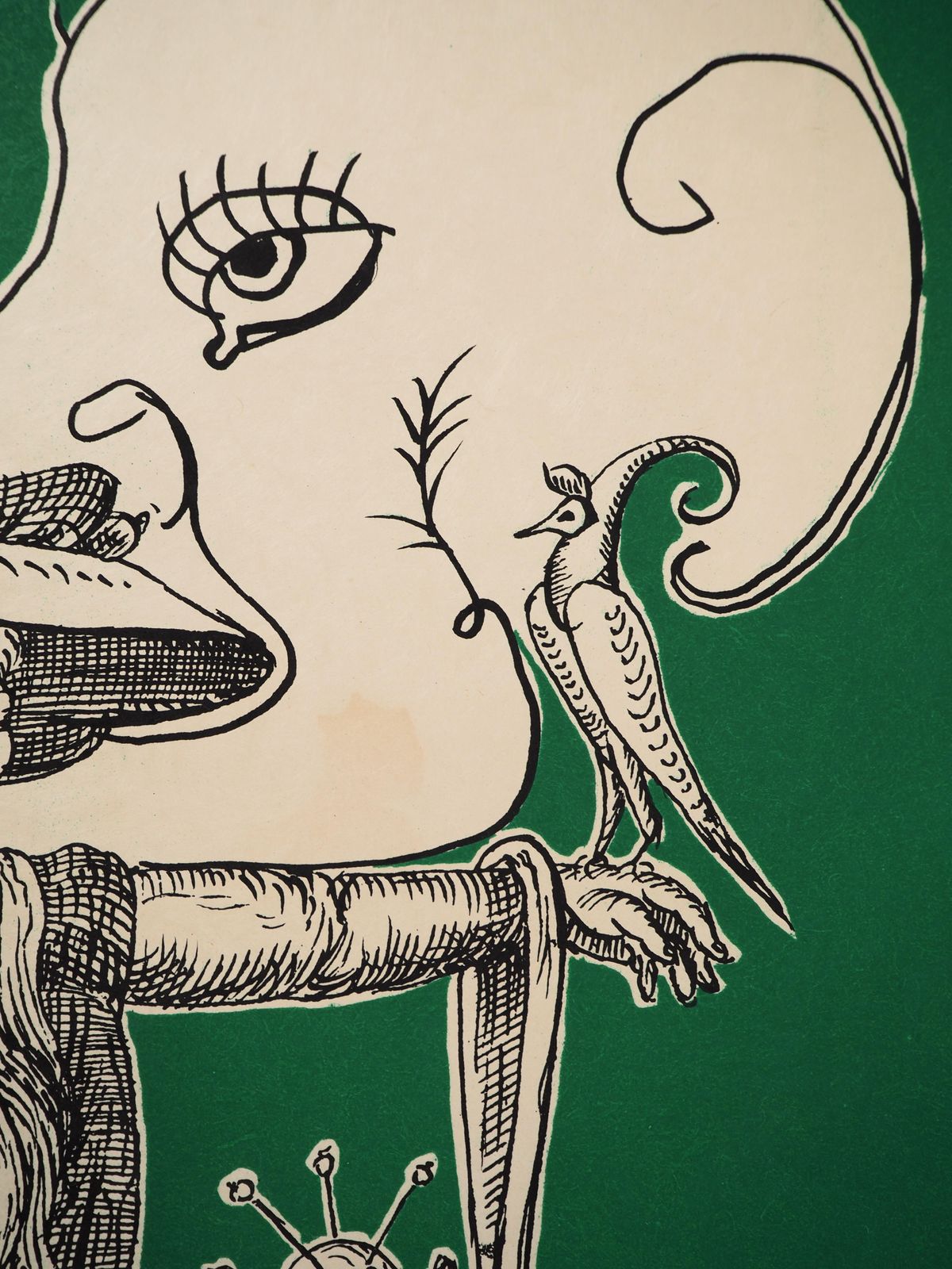 Salvador Dalí­Pantagruel : The Old Wizard   Original Handsigned Lithograph (Field 73 7a)1973 photo vinterior