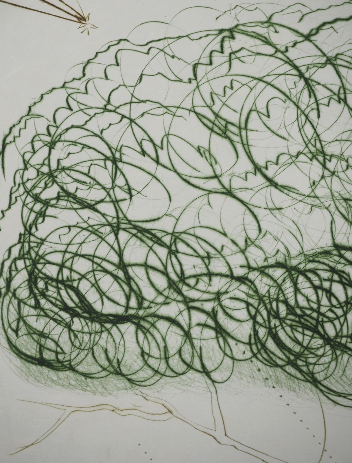 Salvador Dalí­Under The Parasol Pine   Original Etching Handsigned (Field #70 10 I)1970 photo 1029.0