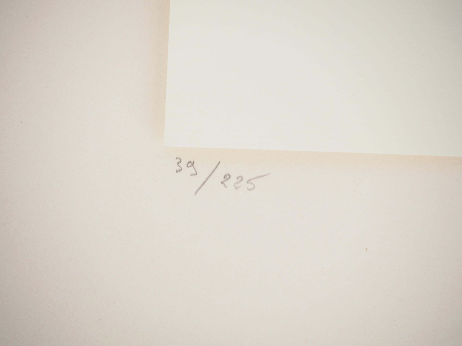 Still Life, Pale Roses In A Vase   Lithograph, 19711971 photo vinterior
