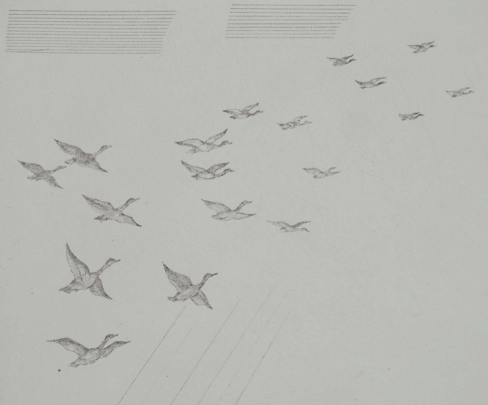 Jean Emile Laboureurbrittany : The Flight Of Ducks   Etching From Louvre Museum photo Art