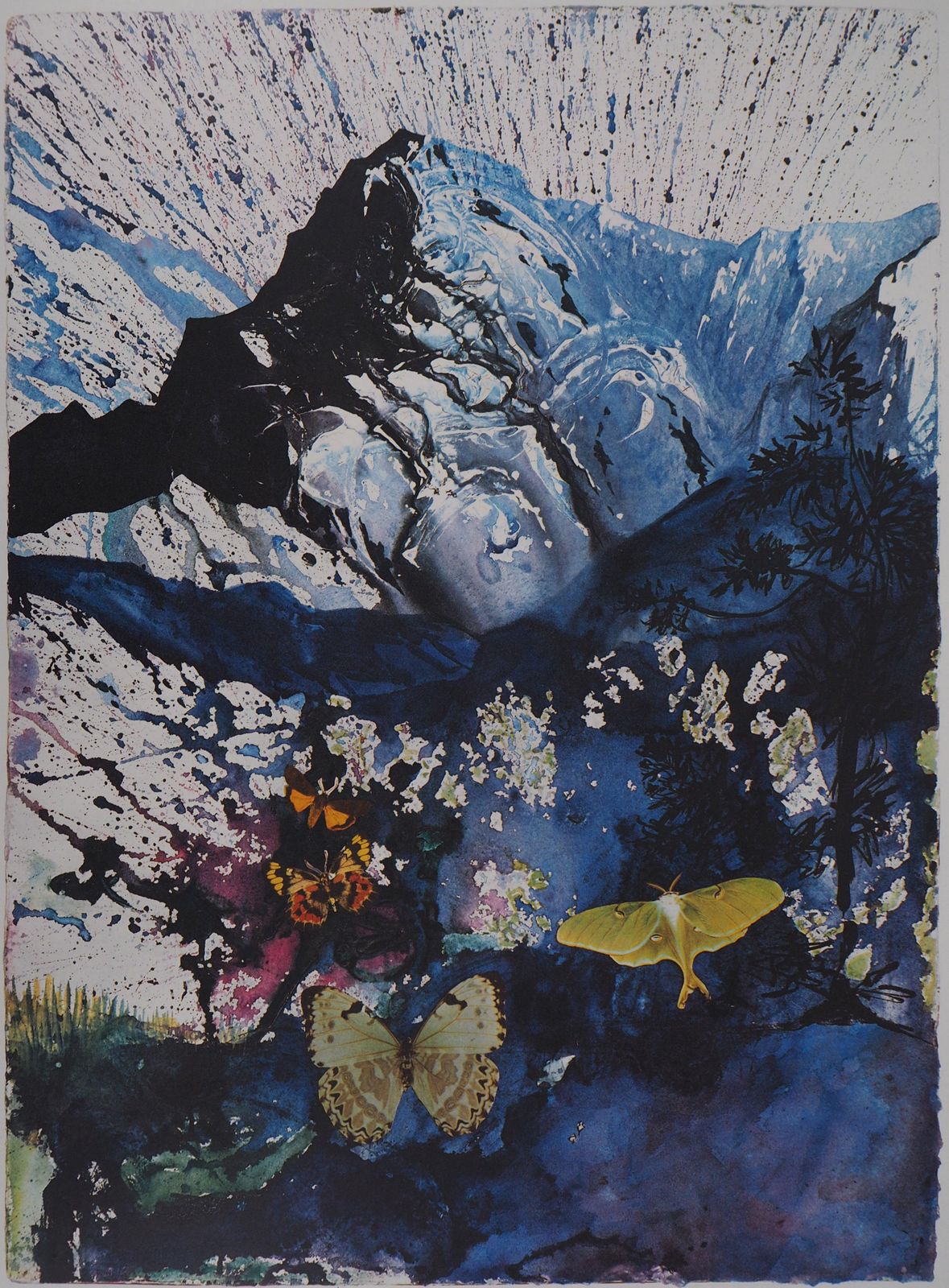 Salvador Dalí­Butterfly Suite : Les Alpes   Heliogravure   1969 (Field #69 2 C)1969 photo for sale