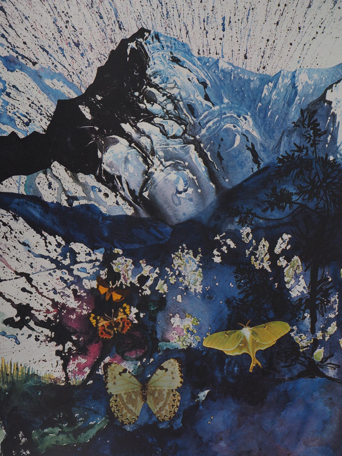 Salvador Dalí­Butterfly Suite : Les Alpes   Heliogravure   1969 (Field #69 2 C)1969 photo Art