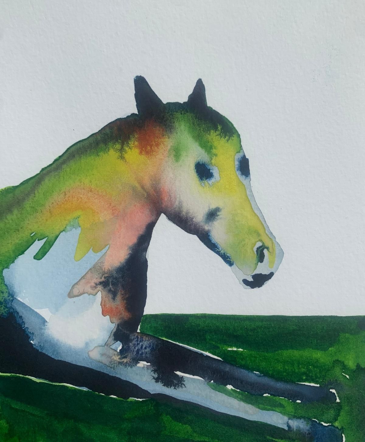 Hanna Ilczyszynnocefresca. Colorful Figurative Watercolor Drawing, Horse, Polish Artist2024 photo for sale