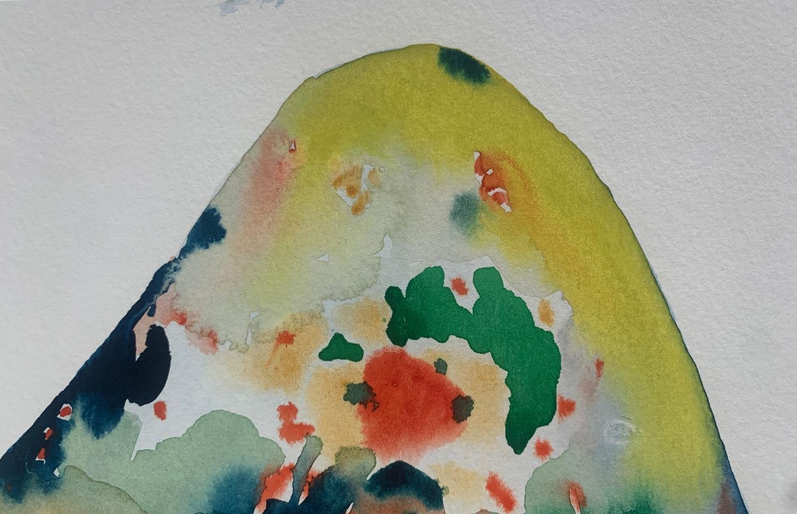 Hanna Ilczyszynnocefresca. Abstract Watercolor Drawing, Colorful, Polish Artist2024 photo for sale