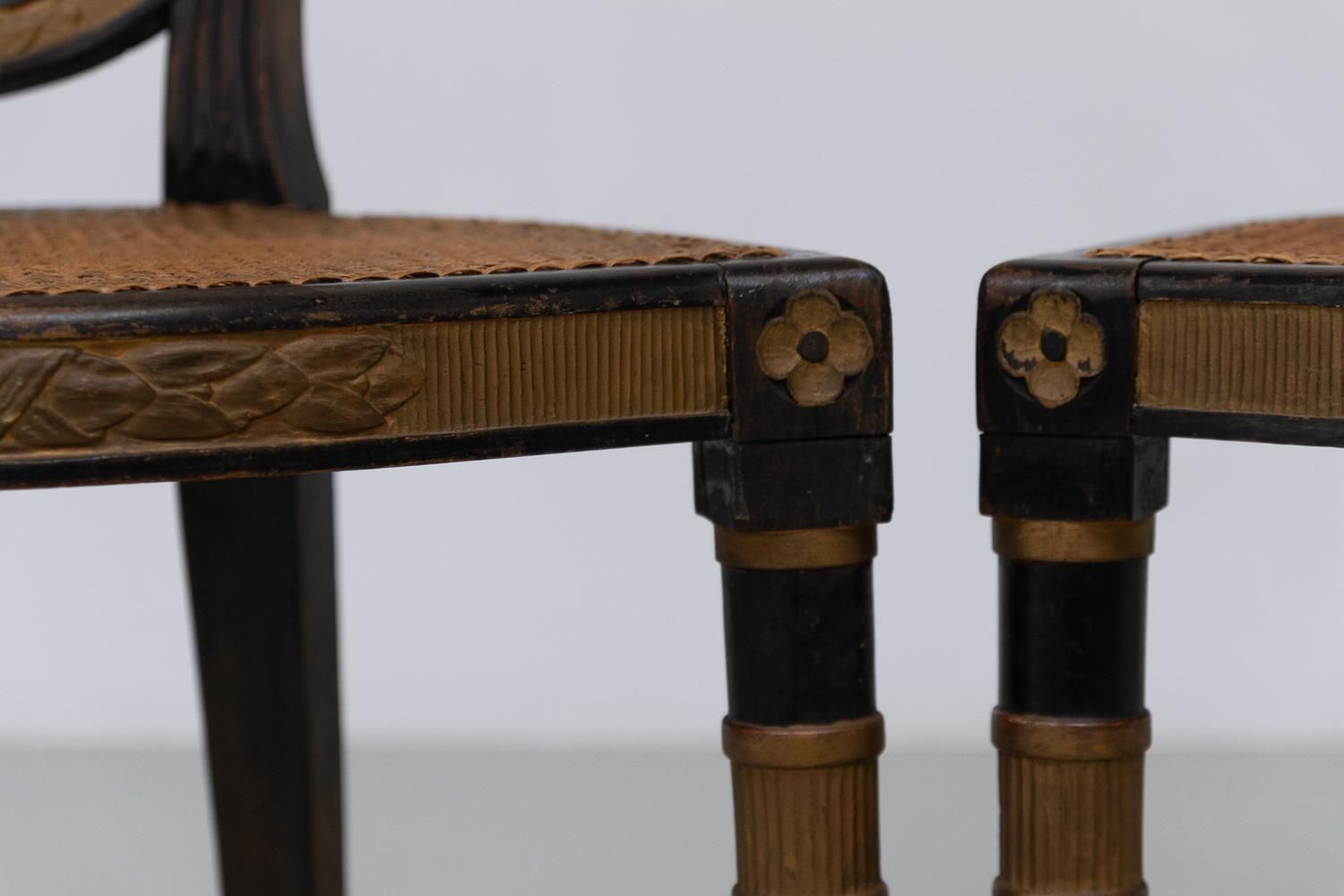 photo furniture French Louis XVI Style Cane Side Chairs, 1880s. Set Of 2.