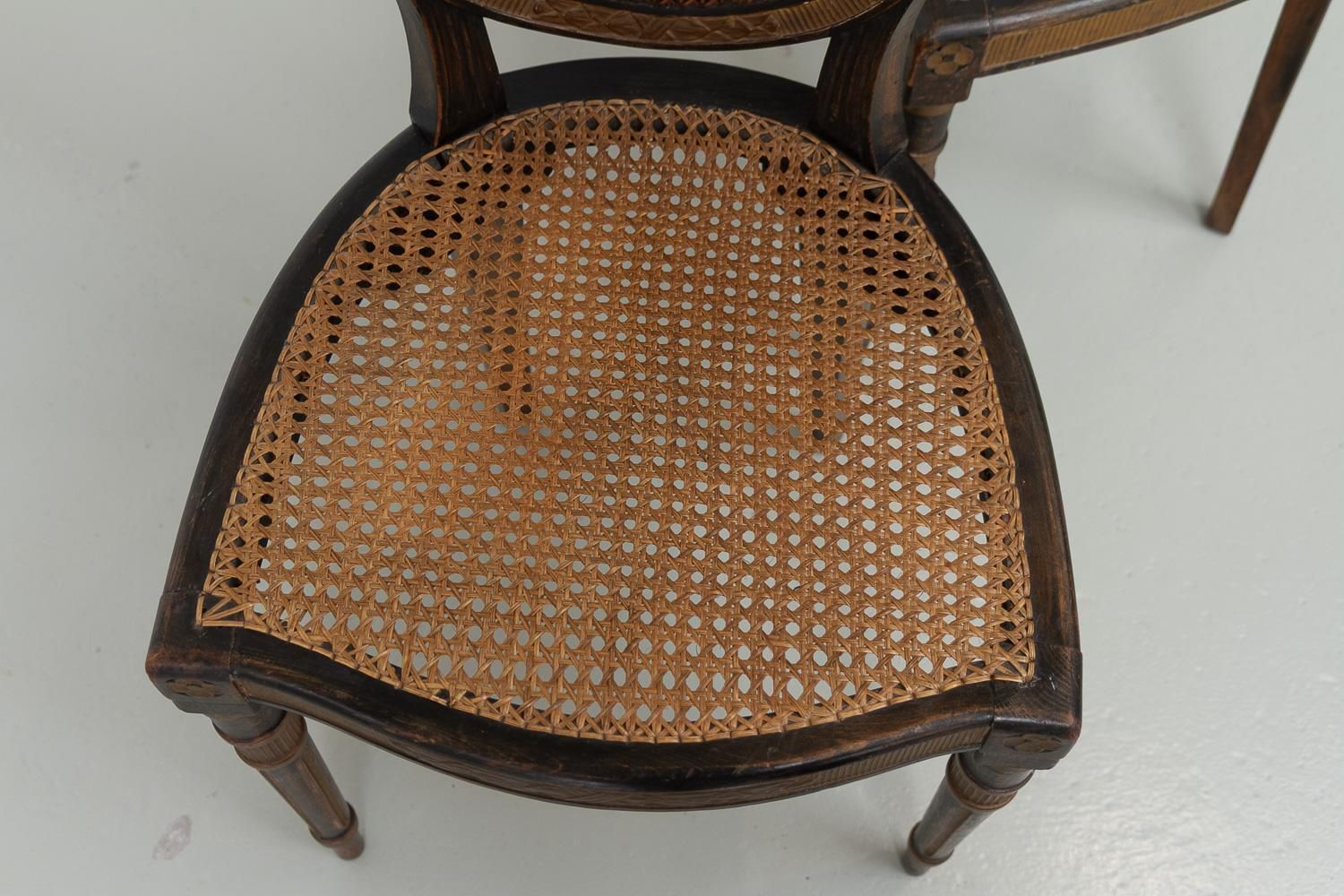 French Louis XVI Style Cane Side Chairs, 1880s. Set Of 2. photo vintage