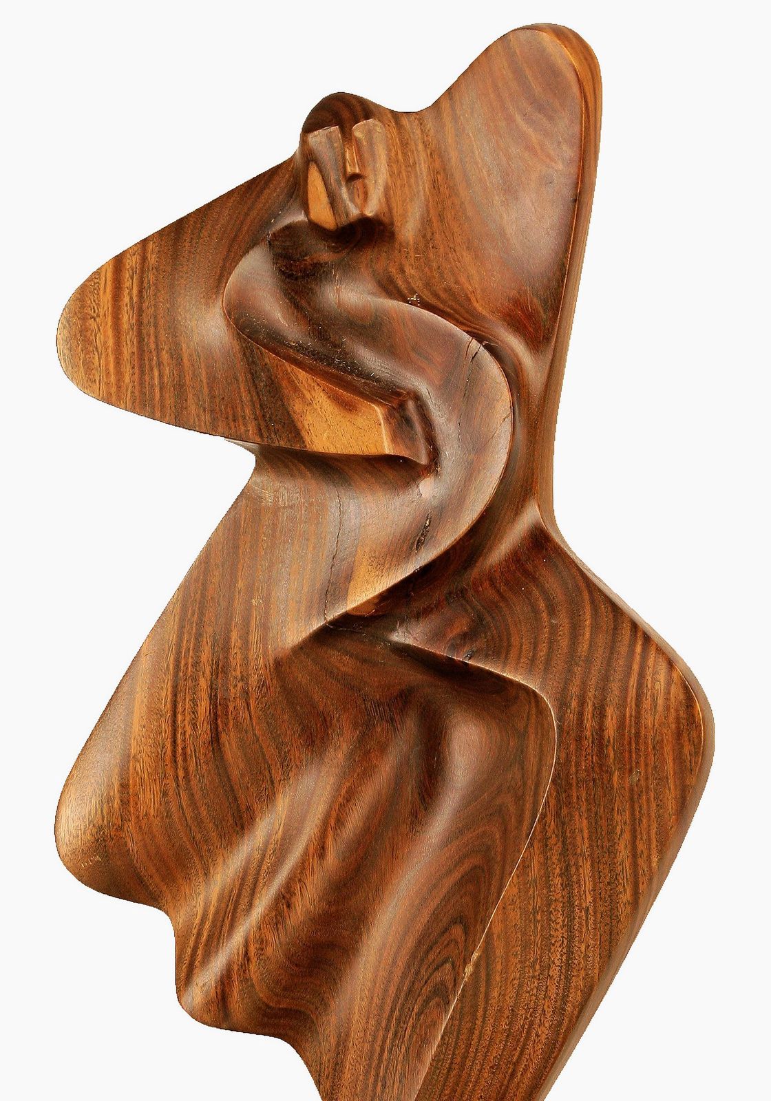 2004 Argentine Biomorphic Wood And Stone Abstract Sculpture By Fabriciano Gómez photo buy