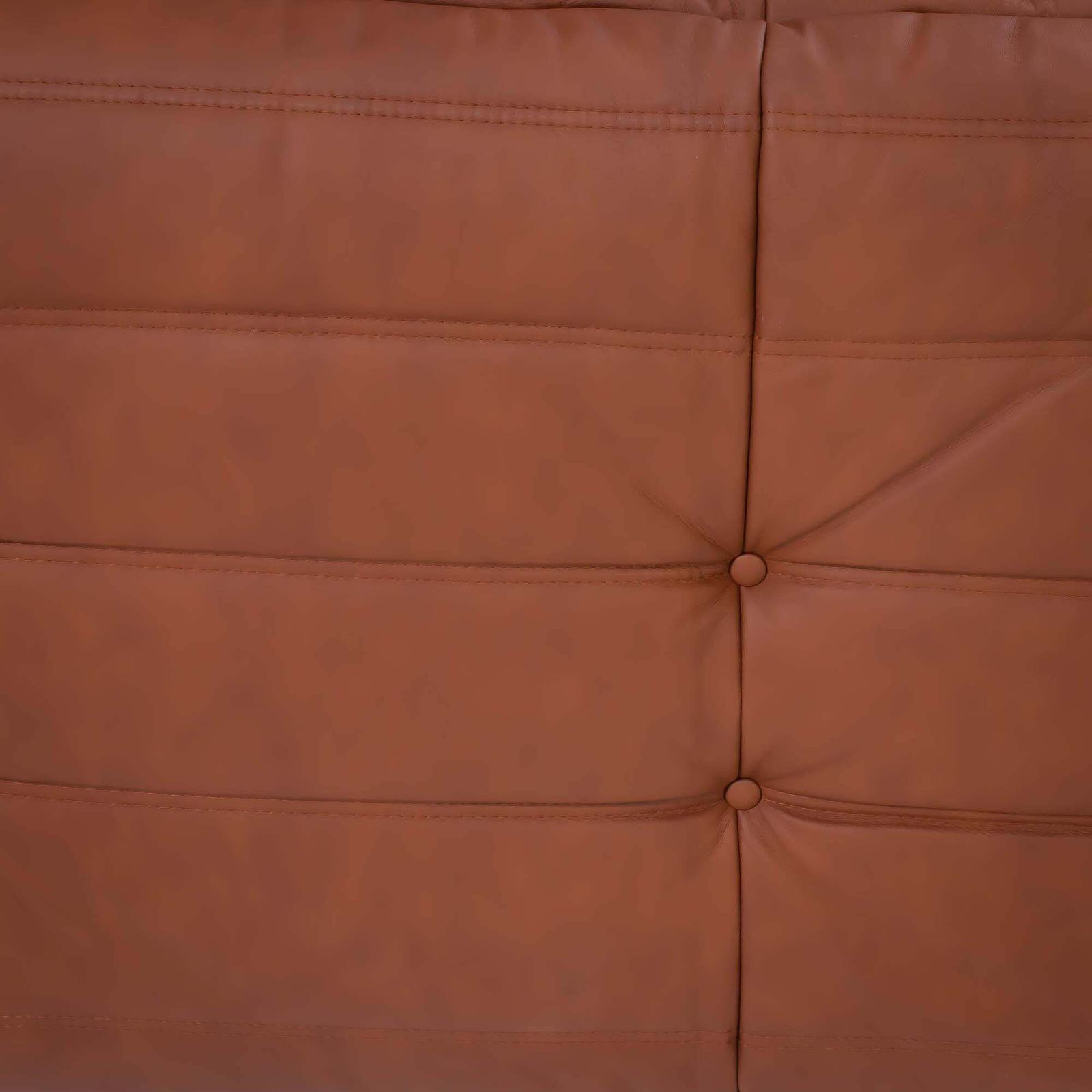 photo for sale Michel Ducaroy For Ligne Roset Togo Brown Leather Modular Sofa, Set Of Five