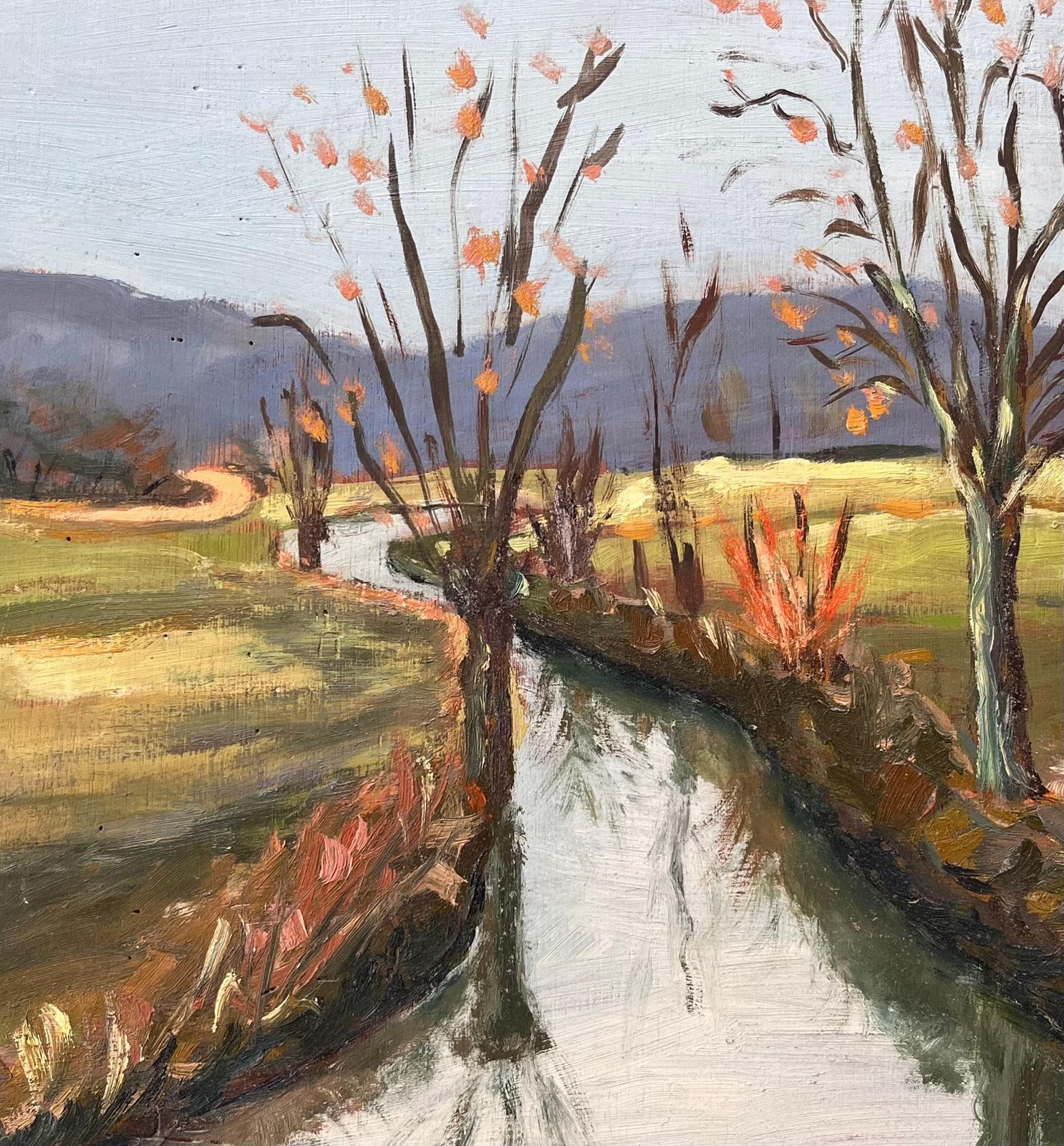 Fanch Lel French Autumn Landscape Of Tree Lined Canal With Reflections And Distant Hills photo buy