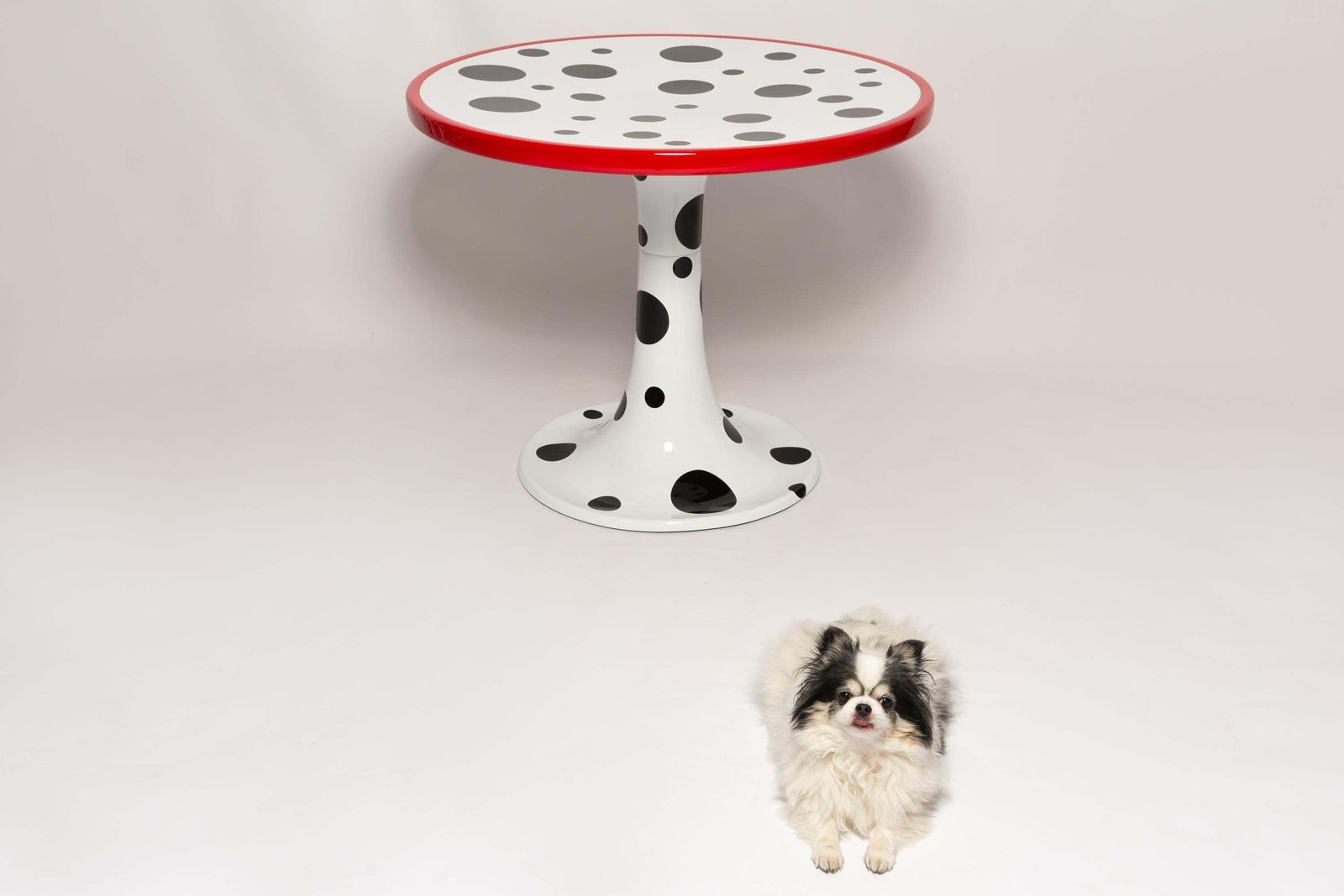 Mid Century Cruella Dalmatian Kangaroo Table, By Ernst Moeckl, Germany, 1968 photo vinterior