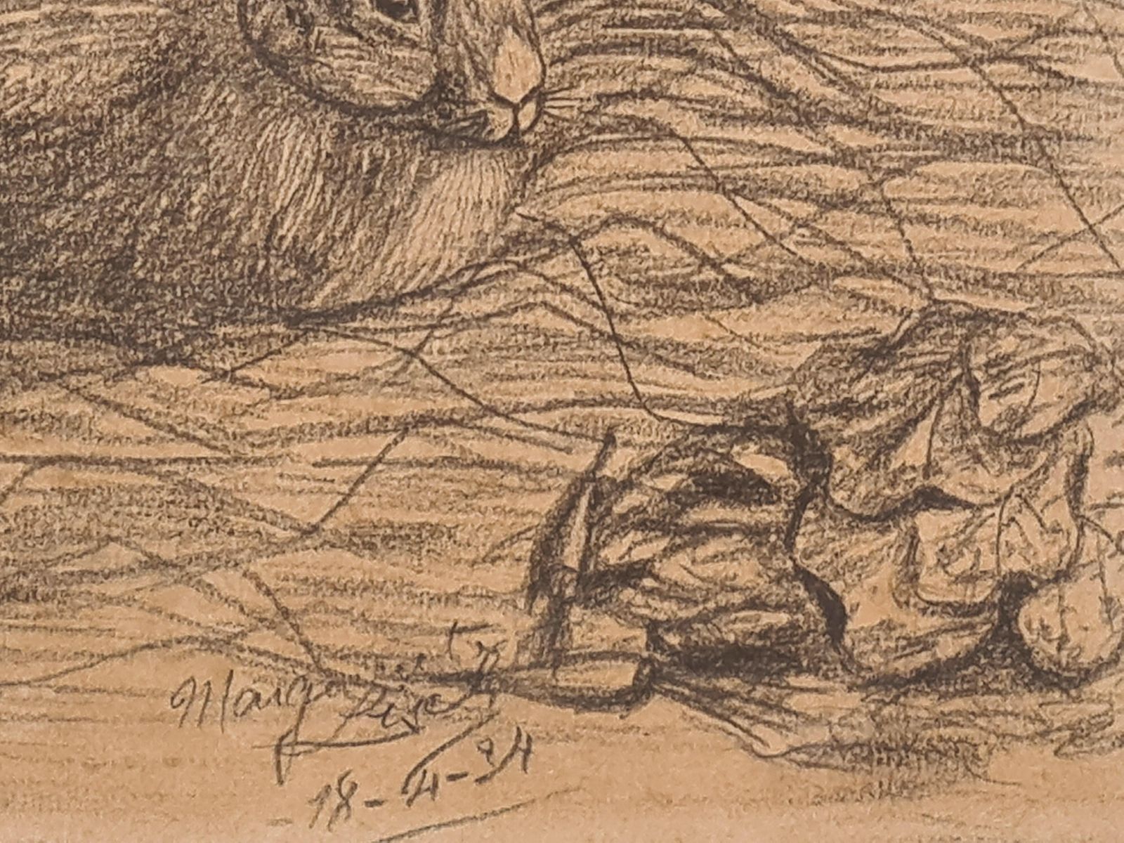 Margaret Liselthe Rabbit And The Cat1934 photo 686.0