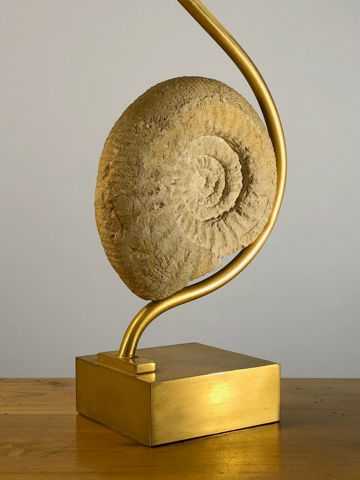 1970 Ammonite Art Deco Shabby Chic Modernist Lamp Willy Daro Jansen Pergay photo 1011.0