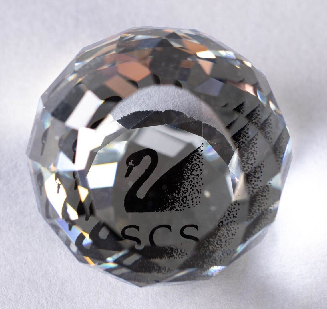 Swarovski Crystal Glass Black Swan Paperweight