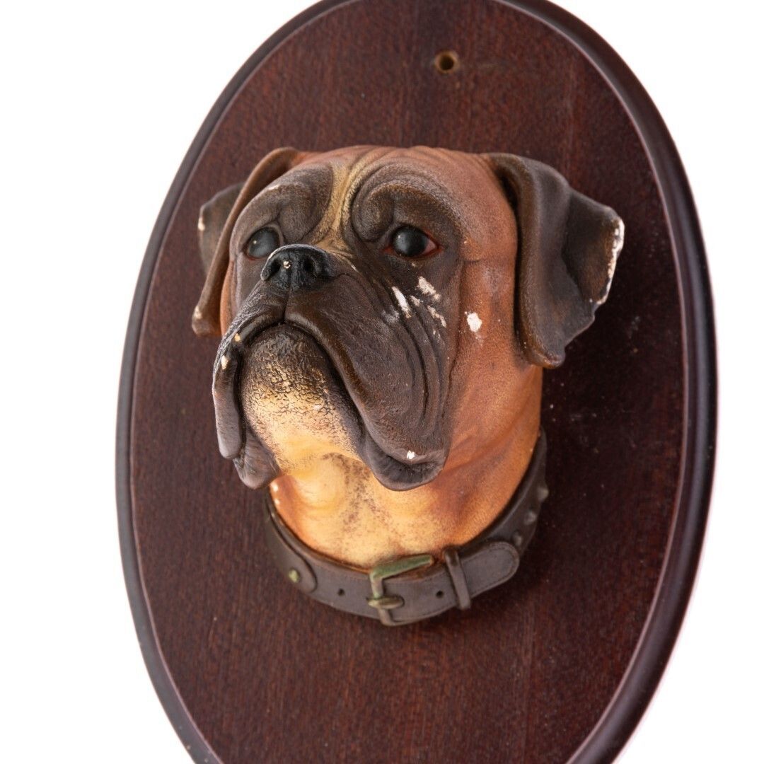 Mid Century Bossons Hand Painted Chalkware Wall Plaque Bust Of A Boxer Dog photo furniture