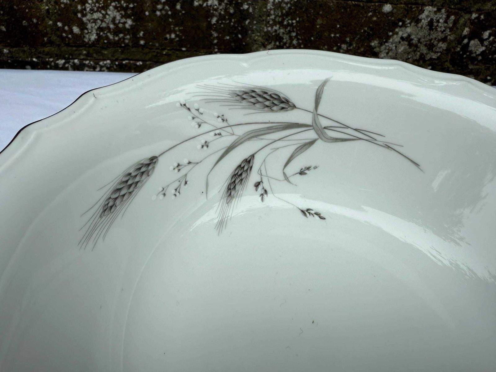 Vintage Winterling Bavarian Porcelain Dinner Service, Silver & Grey Botanical, West German China Service   40 Pieces, 6 Place + Setting Plus photo 255.0