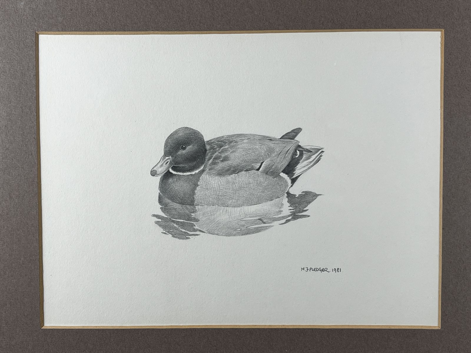 Original 1981 Drawing Of A Mallard Drake By M.J. Pledger – Signed Wildlife Art photo furniture
