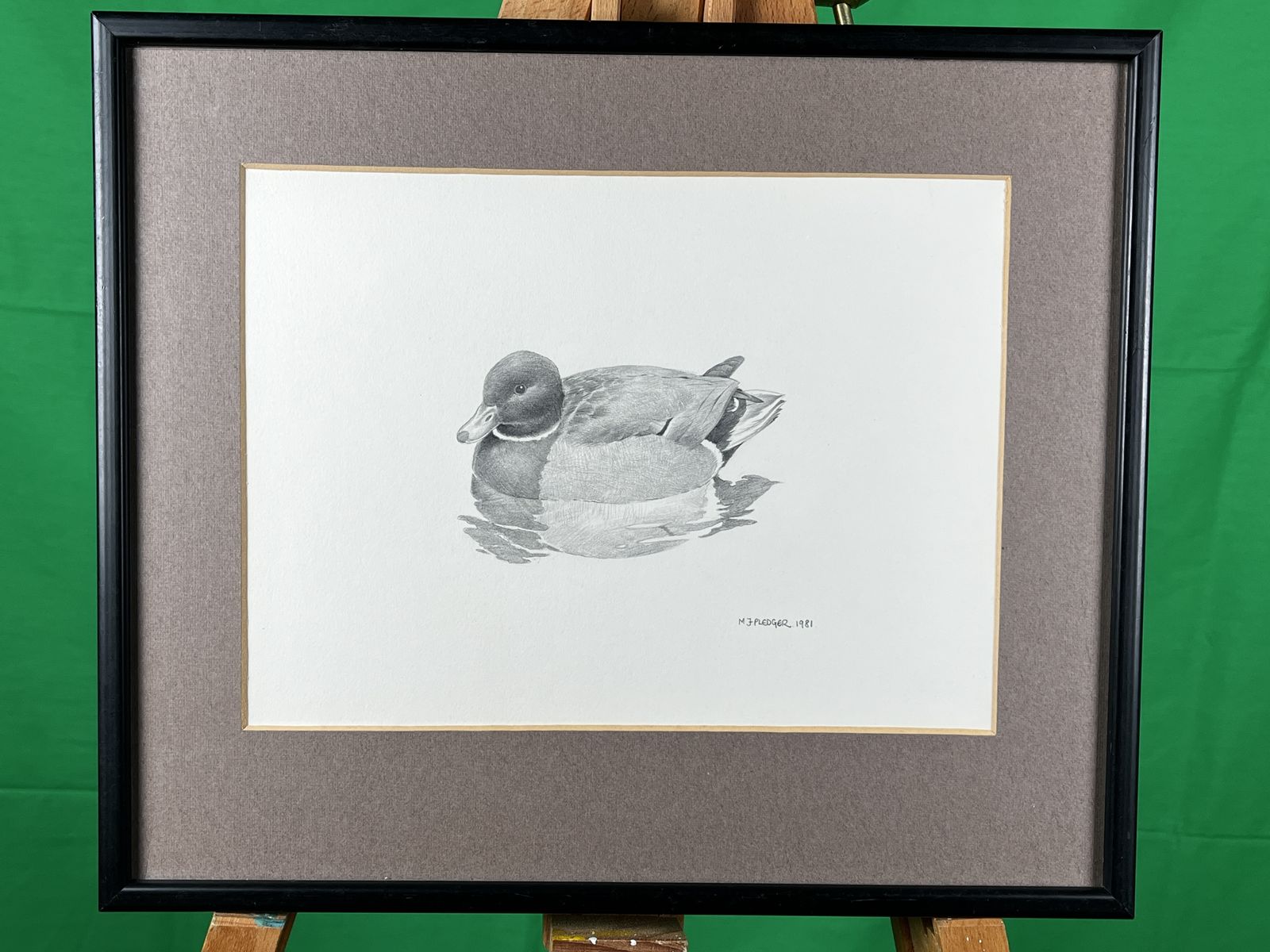Original 1981 Drawing Of A Mallard Drake By M.J. Pledger – Signed Wildlife Art photo Art