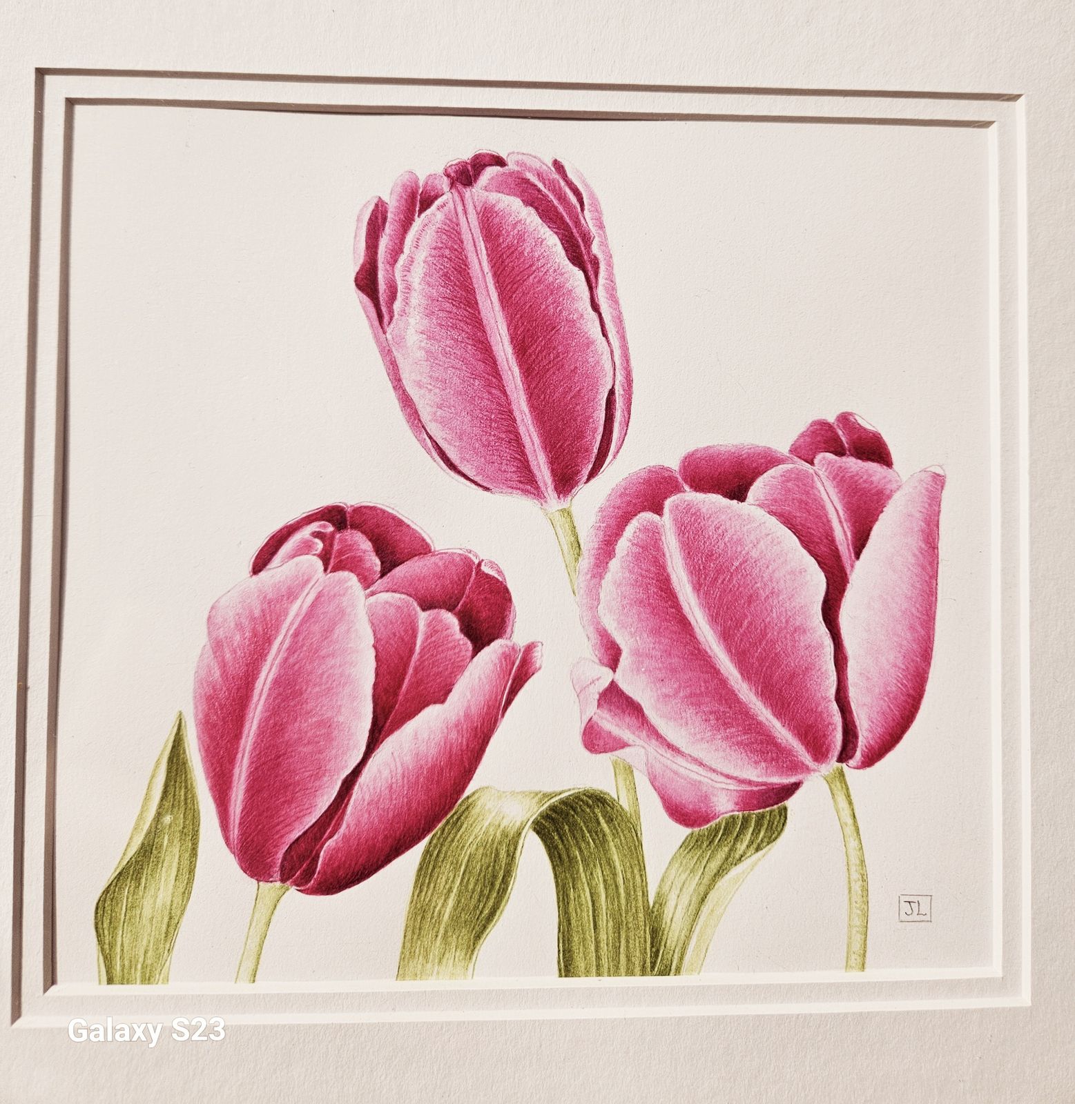 Trio Of Exquisite Botanical Floral Watercolours In White Wood Frames photo Art