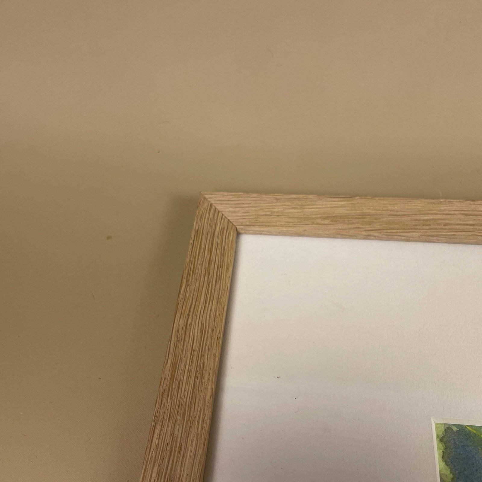 Watercolour Tropical Floral Painting Picture Flowers Wood Frame Brenda Longman White Mount Painted Green Art Original Rectangle Wall Hanging photo buy