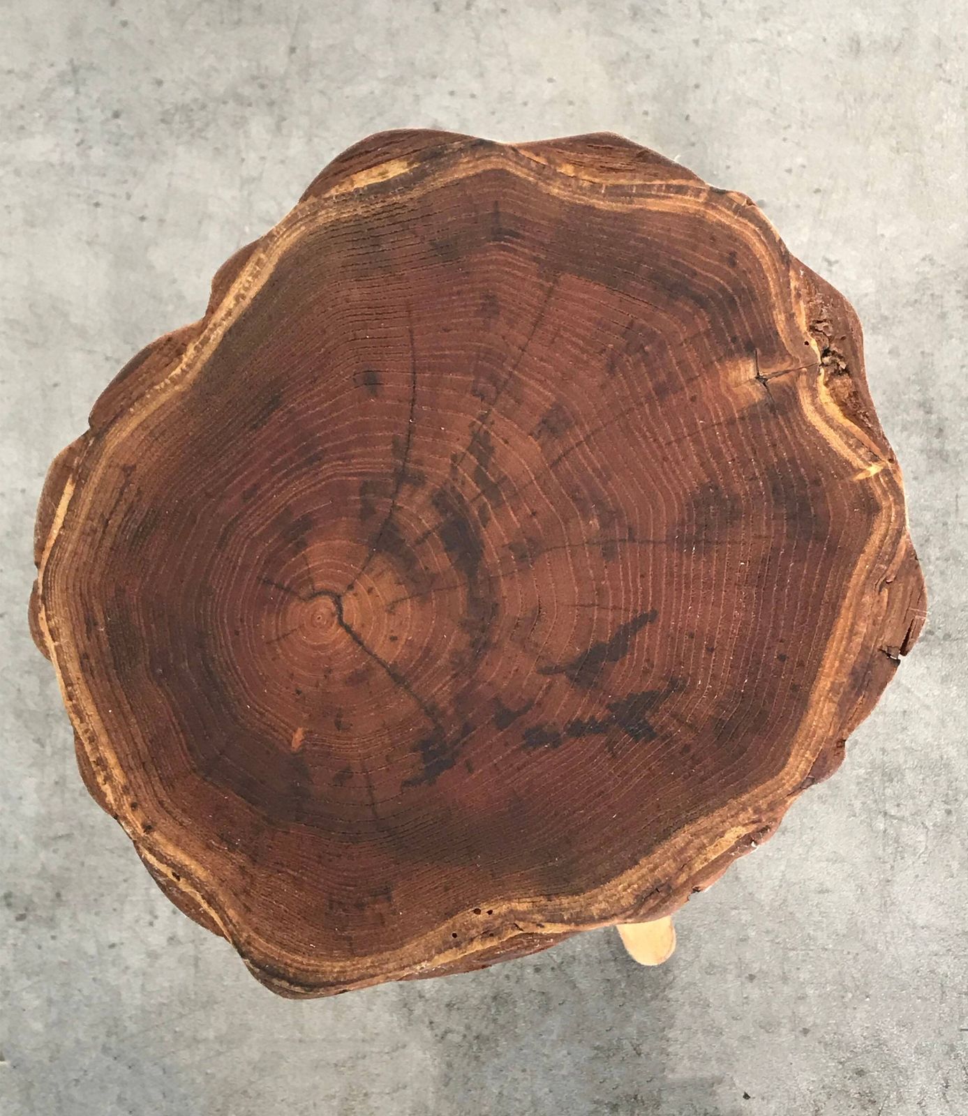Original Vintage Retro Mid Century Wooden Yew Tree Slice Coffee Table / Side Table / Plant Stand George Nakashima Influence photo 138.0