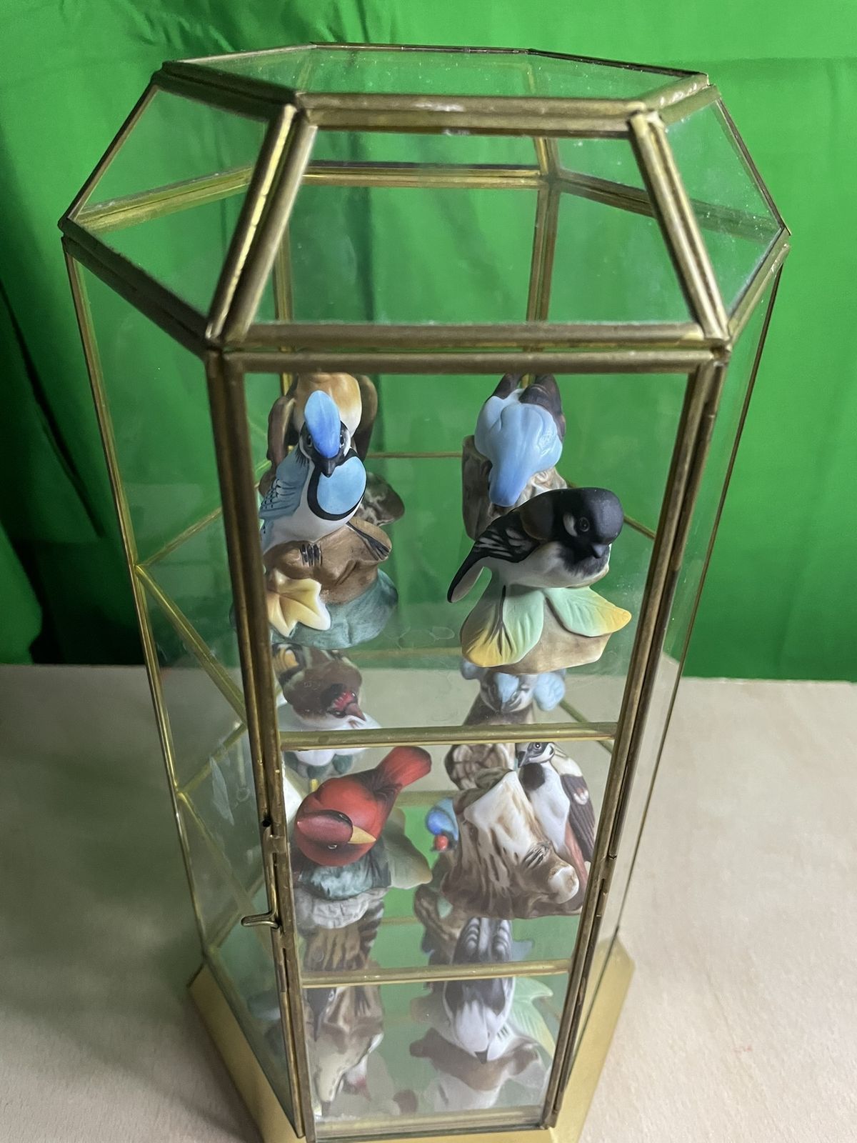 Porcelain Garden Birds Figurines In Glass And Brass Display Case   1980's photo for sale