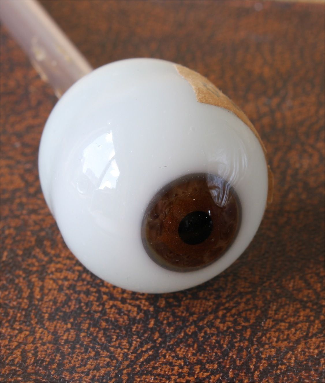 Glass Eye. Hand Blown French Ocularist Artificial Eye On Stem Stalk.