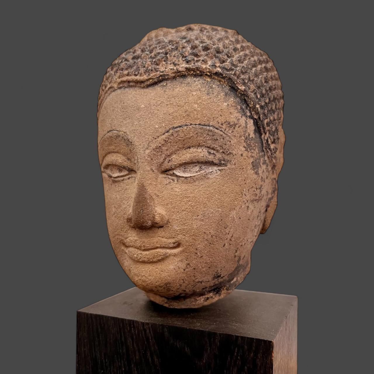 Shakyamuni Buddha Head In Sandstone, Thailand, Ayutthaya, 17th Century photo for sale