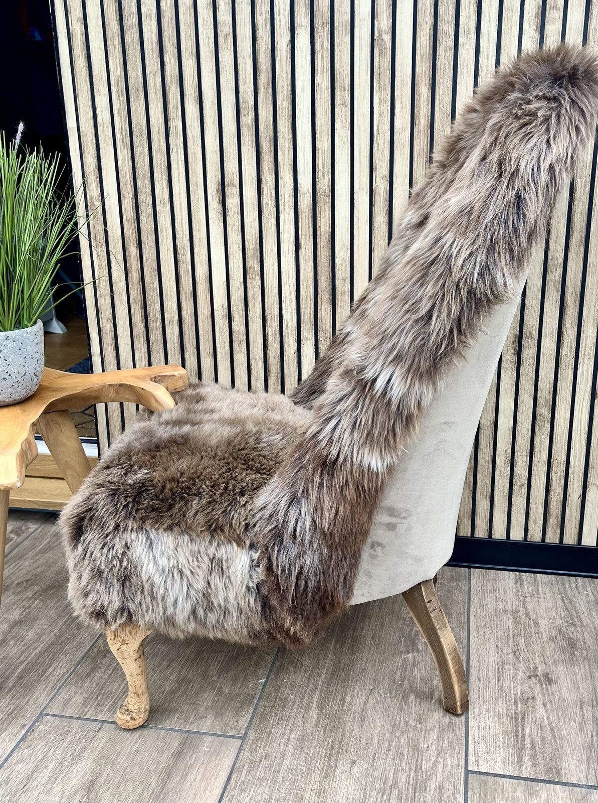 1920s Iron Back Nursing Chair – Rare Breed Sheepskin photo for sale